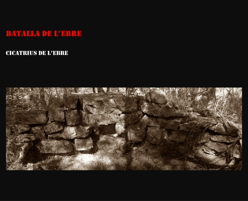 Batalla de l’ebre : Cicatrius de l’ebre