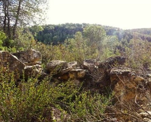 Batalla de l’ebre : Cicatrius de l’ebre