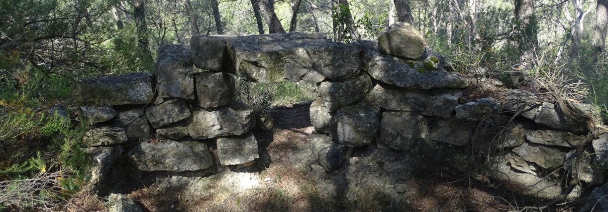 Batalla de l’ebre : cicatrius de l’ebre