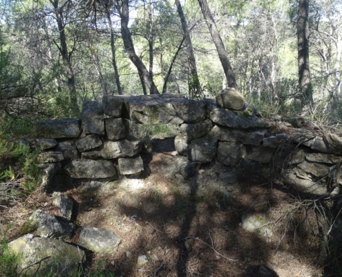 Batalla de l’ebre : cicatrius de l’ebre