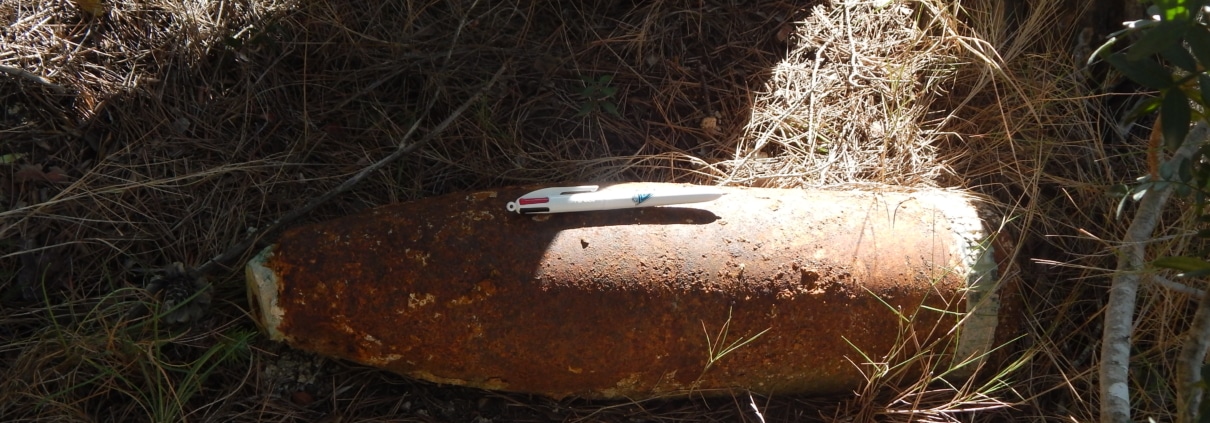 Esborrany automàtic