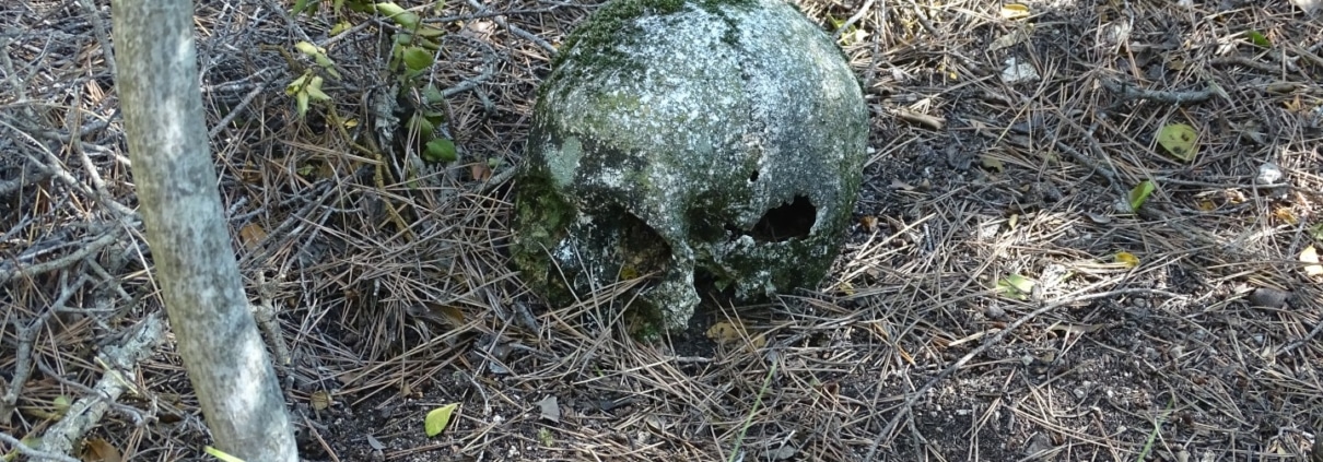 Batalla de l’ebre: RESTES HUMANES