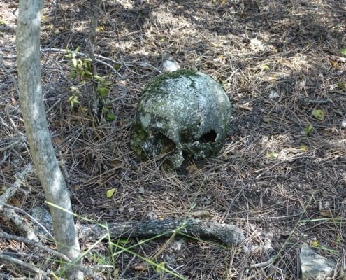 Batalla de l’ebre: RESTES HUMANES